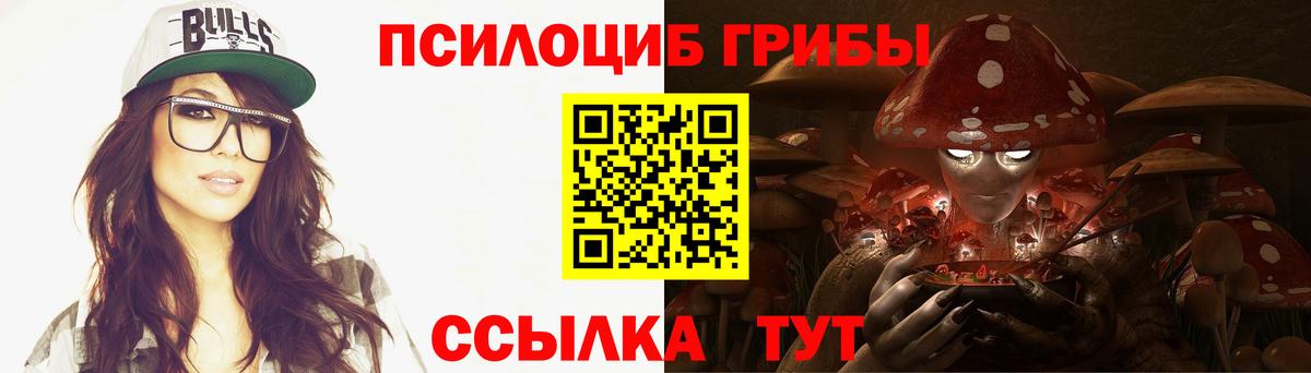 как найти   Галлюциногенные грибы Psilocybine cubensis  Вход с VPN  Кудрово 